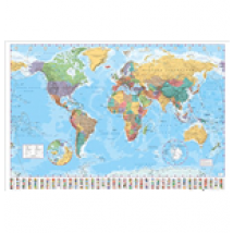 Poster Mappemonde 257917