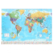 Poster Mappemonde 257918