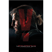 Poster Metal Gear 257965