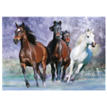 Poster Bob Langrish  258909