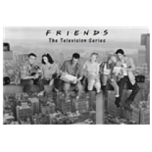 Friends - On Girder (Poster Maxi 61x91,5 Cm)