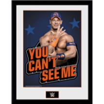 Imprimé WWE  262128
