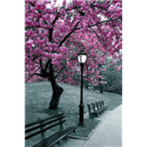 Poster New York  267959