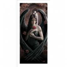 Poster Anne Stokes 270740
