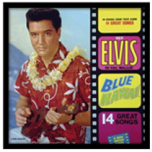 Cadre Elvis Presley  271721