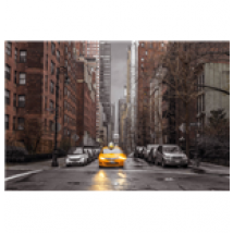 Poster Assaf Frank 272405