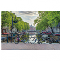 Poster Assaf Frank 272407