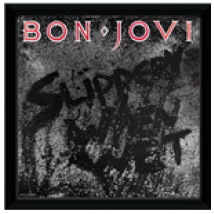 Imprimé Bon Jovi  272465