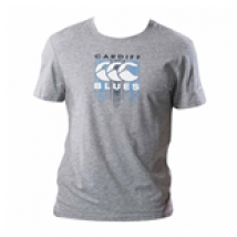 T-shirt Cardiff Blues 2017-2018 (Gris)