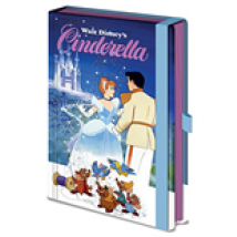 Cahier Cendrillon 275161