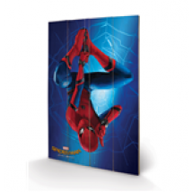 Imprimé Spiderman 276276