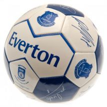 Ballon de Football Everton 276761