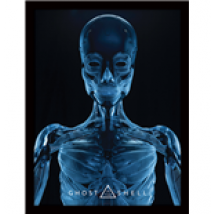 Cadre Ghost in the Shell 278807