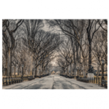 Poster Assaf Frank 279096