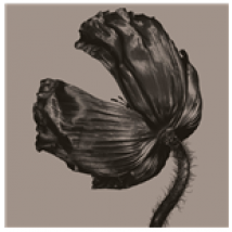 Vinyle Pet Shop Boys - Release