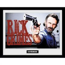 Poster The Walking Dead 281569