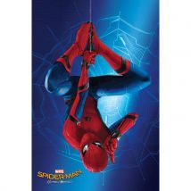 Poster Spider-Man 284220