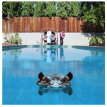 Vinyle Sparks - Hippopotamus (2 Lp)