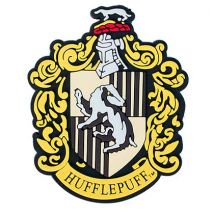 Aimant Harry Potter