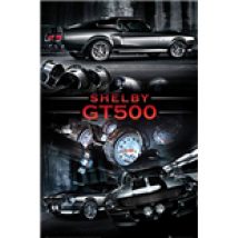 Poster Shelby 286405