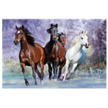 Poster Bob Langrish  286406