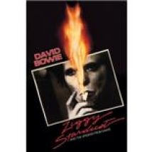 Poster David Bowie-Ziggy Satrdust