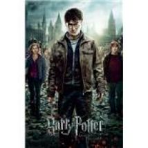Maxi Poster Harry Potter 7 Part 2 One Sheet