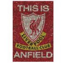 Poster Liverpool FC 39