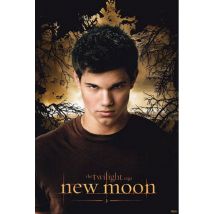 Poster Twilight  70027