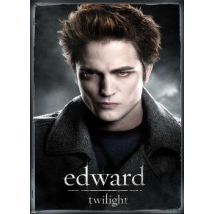 Poster Twilight Edward