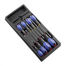 Expert by Facom 8 Piece Screwdriver Set in Module Tray