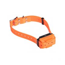 Num'axes - Collier De Dressage Rechargeable Canicom R - Orange