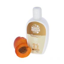 MagicBrush - Shampoing Anti-odor 200ml