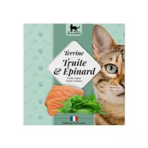 William's - Terrine Pour Chat Truite/épinard 80g