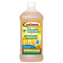 Saniterpen - Détergent Surpuissant