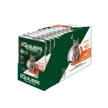 Equilibre et Instinct - Pack D'Éffilés Au Poulet Courge Et Agrumes Chat 12x85g Equilibre & Instinct
