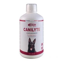 Rekor - Complément Alimentaire Canilyte 1l