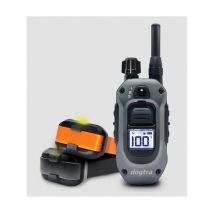 Dogtra - Pack De Dressage 640x 2 Chiens