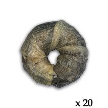 Bubimex - Donuts Avec Peau De Poisson (lot De 20)