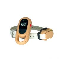 Dogtra - Pack De Dressage Iq Flex - Beige