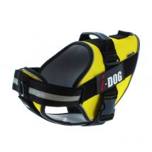 i-Dog - Harnais Chien I-dog Neocity - Violet - Taille XS