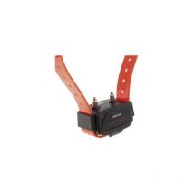 Num'axes - Collier Dressage Canicom Supplémentaire - Orange