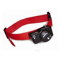 PetSafe - Collier Pour Clôture Anti-fugue Sans Fil