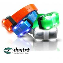 Dogtra - Collier Dressage Supp. 4500 Edge - Vert