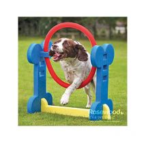 Rosewood - Pneu Agility Indoor