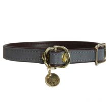 Kentucky - Collier Pour Chien Loop