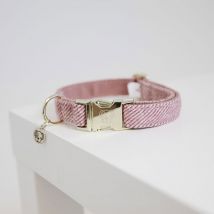 Kentucky - Collier Pour Chien Wool - Rose Pale