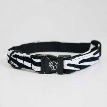 Kentucky - Collier Pour Chien Zebra