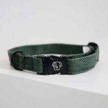 Kentucky - Collier Pour Chien Lizard - Olive