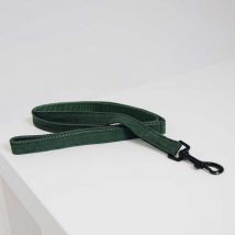 Kentucky - Laisse Lizard - Olive